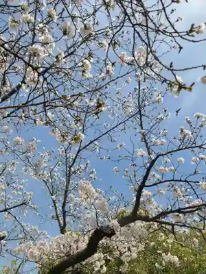 牛嶋天満宮(佐賀県)