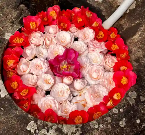 真言宗　善通寺派　薬王寺(香川県)