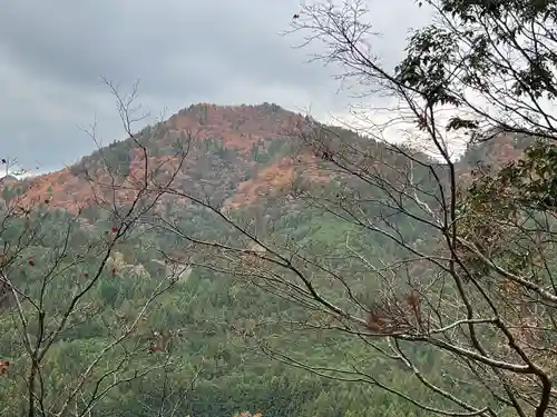 室生寺奥の院(奈良県)