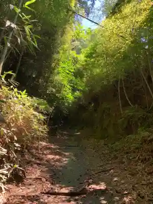 熊野神社(千葉県)