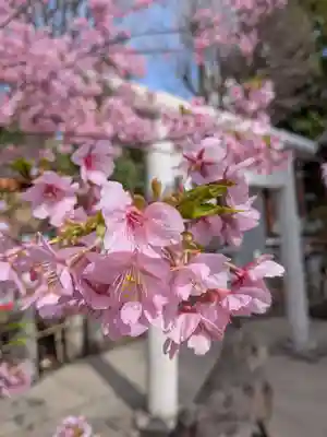 鳩森八幡神社(東京都)