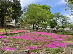 瀧宮神社(埼玉県)