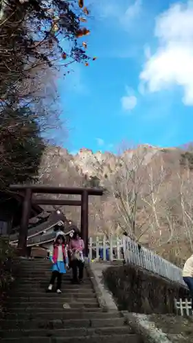 戸隠神社奥社の鳥居