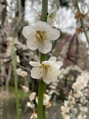 城南宮(京都府)