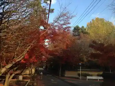 宝珠山　観泉寺の周辺