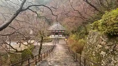 長谷寺(奈良県)