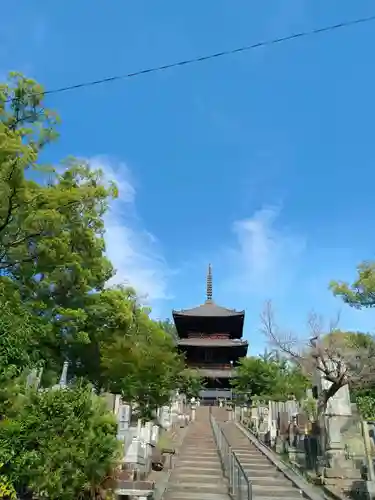 くろ谷 金戒光明寺(京都府)