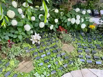 道往寺(東京都)