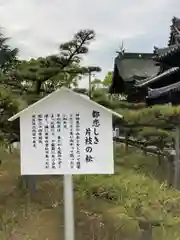 尾上神社の建物その他