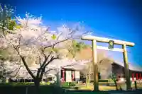 黄金山神社(宮城県)