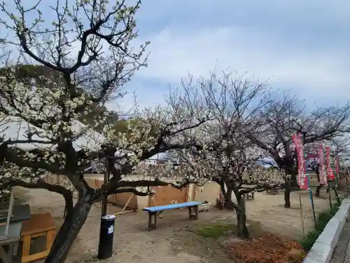 履脱天満神社(愛媛県)