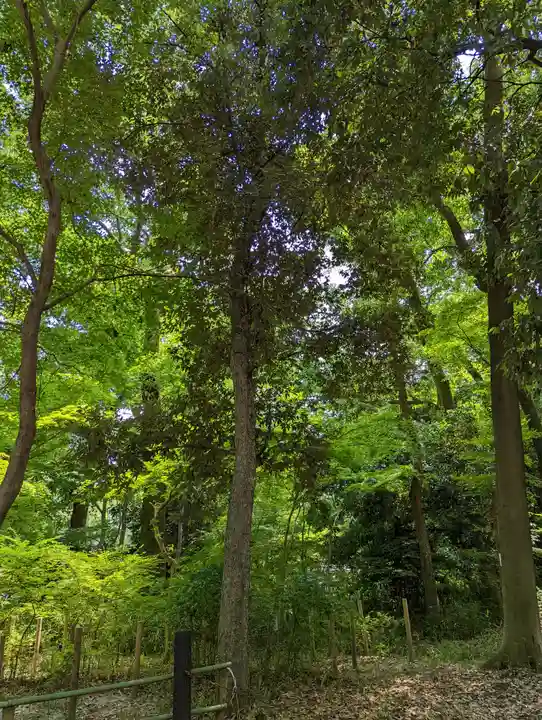 河合神社(鴨川合坐小社宅神社)(京都府)