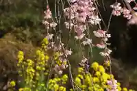 瑞雲寺(福島県)