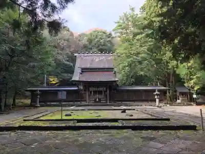 若狭彦神社（上社）の本殿・本堂