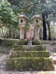 春日大社の動物