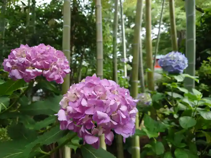 鈴鹿明神社(神奈川県)