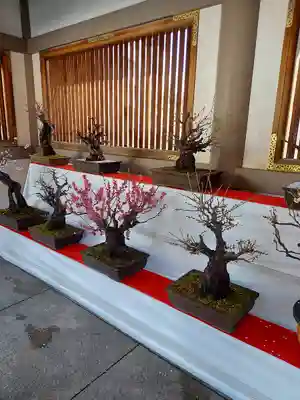 湯島天満宮(東京都)