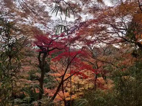 唐澤山神社の景色