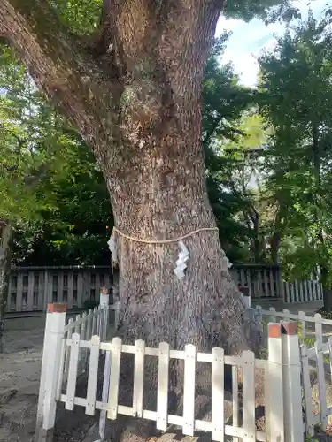 鴨高田神社(大阪府)