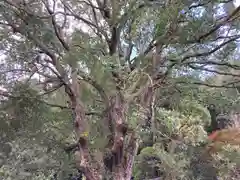 流谷八幡神社(大阪府)