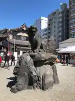 浅草神社の狛犬