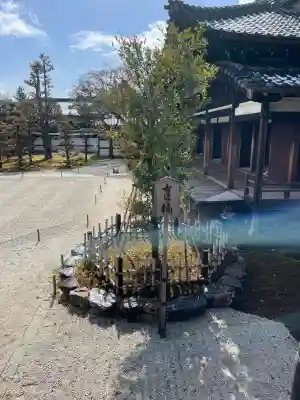 仁和寺の{uncategorized: "未分類", other: "その他", undefined: "問題あり", building: "その他建物", grave: "お墓", sacred_gate: "鳥居", guardian: "狛犬", statue: "像", buddha: "仏像", history: "歴史", nature: "自然", garden: "庭園", animal: "動物", pagoda: "塔", temizu: "手水舎", mountain_gate: "山門・神門", sanctuary: "本殿・本堂", subordinate: "末社・摂社", art: "芸術", scenery: "景色", jizo: "地蔵", ema: "絵馬", goshuin: "御朱印", omikuji: "おみくじ", items: "授与品その他", amulet: "お守り", goshuincho: "御朱印帳", eats: "食事", festival: "お祭り", votive_dance: "神楽", shichigosan: "七五三参", wedding: "結婚式", experience: "体験その他", initially: "初詣", around: "周辺", anti_infection: "感染症対策"}