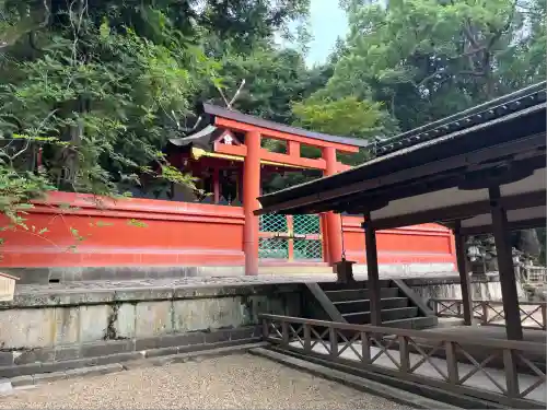 春日大社 若宮（春日若宮）(奈良県)