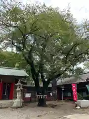 前原御嶽神社(千葉県)