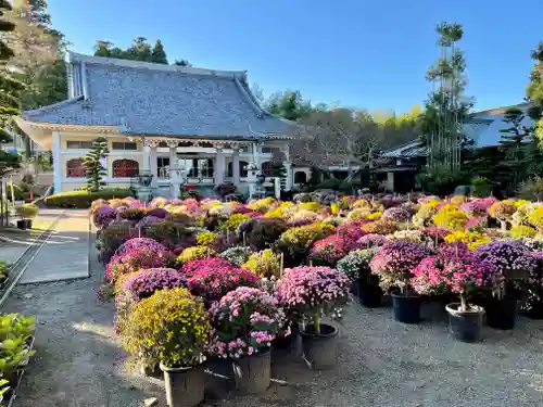 総世寺のその他建物