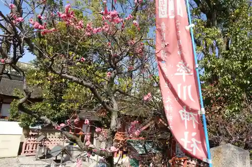 率川神社（大神神社摂社）の自然