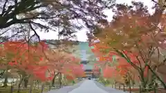 南禅寺の建物その他