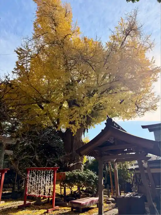 荏柄天神社(神奈川県)