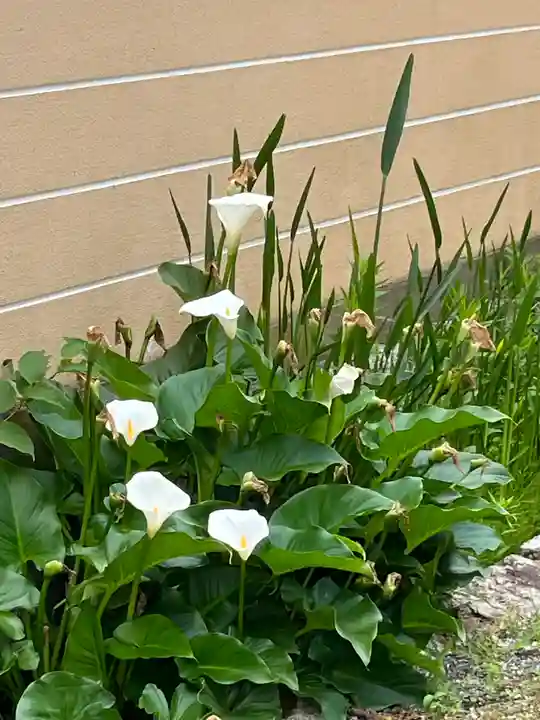 正傅寺(滋賀県)