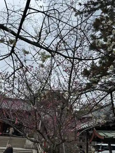 氷室神社(奈良県)