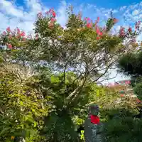 伊勢の国 四天王寺(三重県)