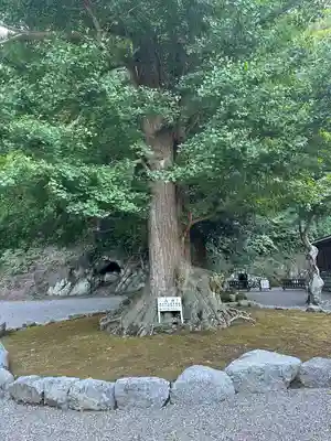 安房神社(千葉県)