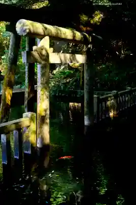 奥宮(鹿島神宮摂社)(茨城県)