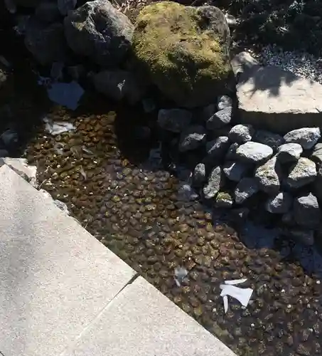 大國魂神社のその他建物