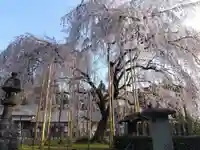 足羽神社(福井県)