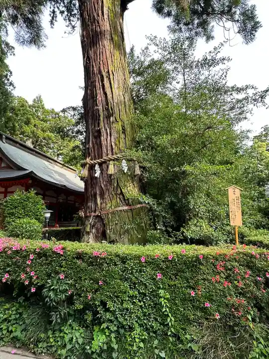 香取神宮(千葉県)