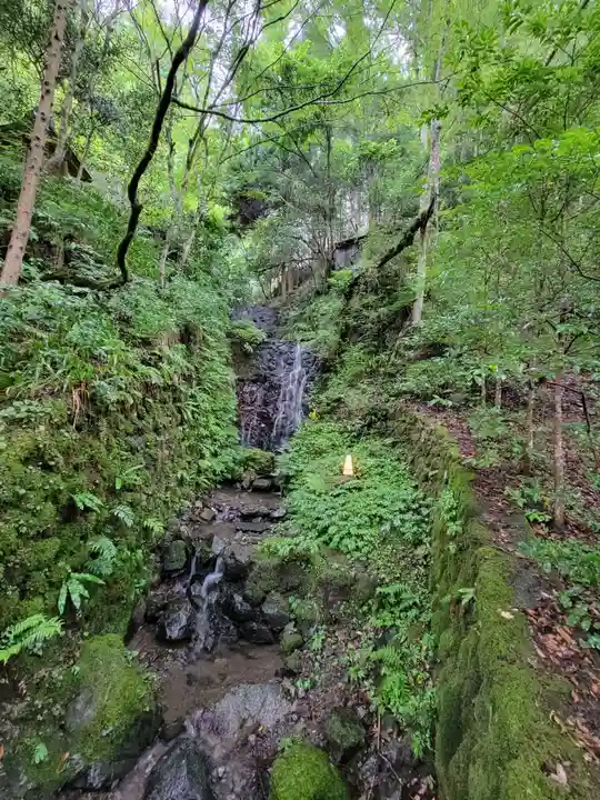 貴船神社の自然