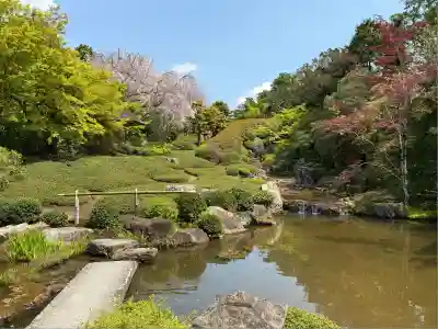 退蔵院(京都府)