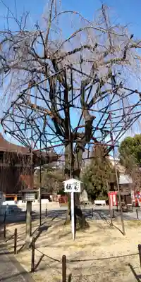 大報恩寺（千本釈迦堂）(京都府)