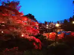 彌彦神社の庭園