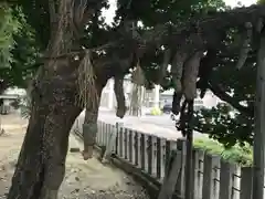 多奈波太神社の自然