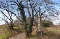 橿原神社の景色