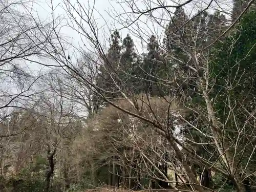 大宮温泉神社(栃木県)