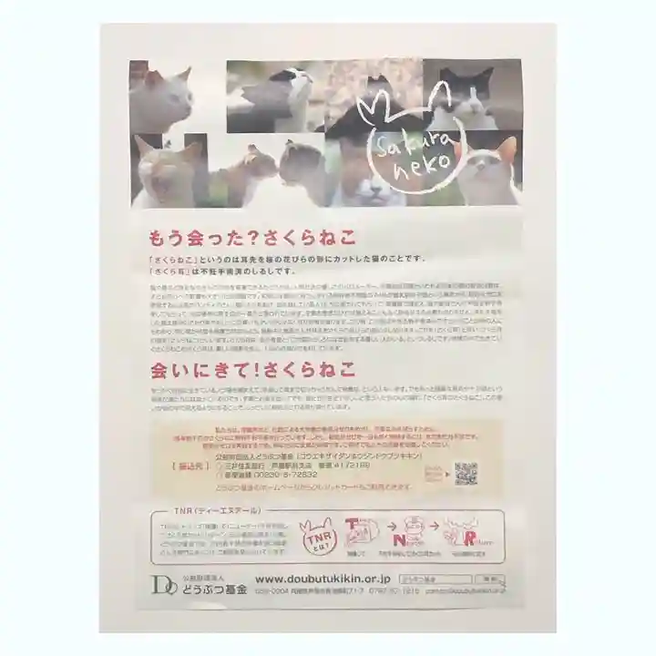 専念寺の授与品その他