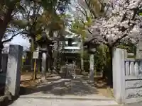 白幡天神社の鳥居