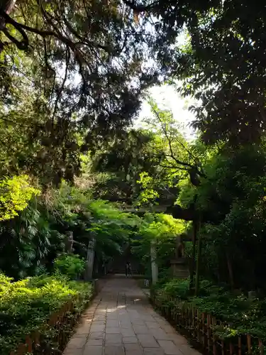 赤坂氷川神社(東京都)